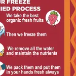 MANGO AND CHAMOY - FREEZE DRIED