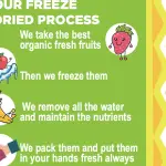 PINEAPPLE- FREEZE DRIED